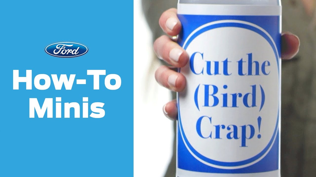 How to Cut the Crap: Removing Bird Poop